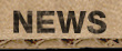 bern news