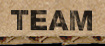 bern team